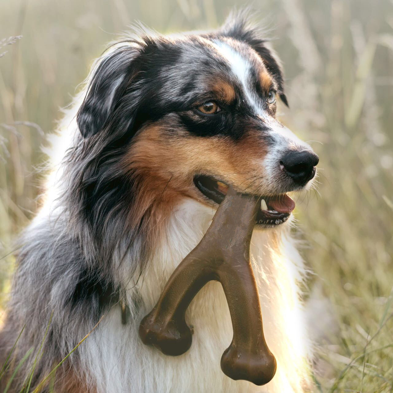 Pet Dog Bite Grinding Stick Durable Dog Chewing Toy Suitable For Intense Chewing Cross-border Hot Products In Stock