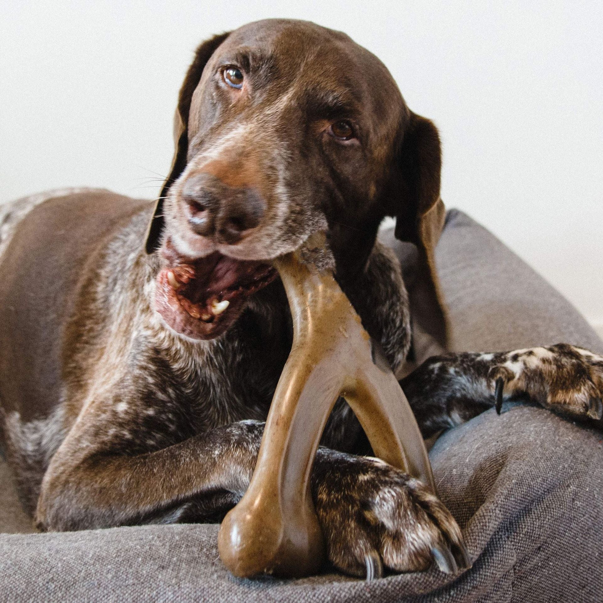 Pet Dog Bite Grinding Stick Durable Dog Chewing Toy Suitable For Intense Chewing Cross-border Hot Products In Stock